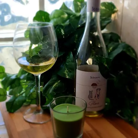 Apartament Rooftop Panorama *