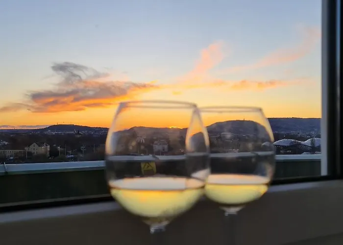 Lejlighed Rooftop Panorama