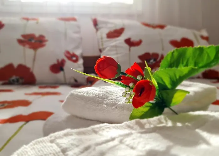 Rooftop Panorama Lejlighed *